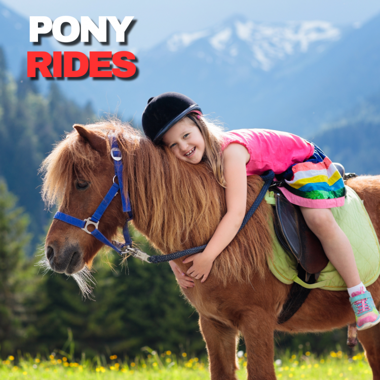 Pony Rides* (Set of 2)