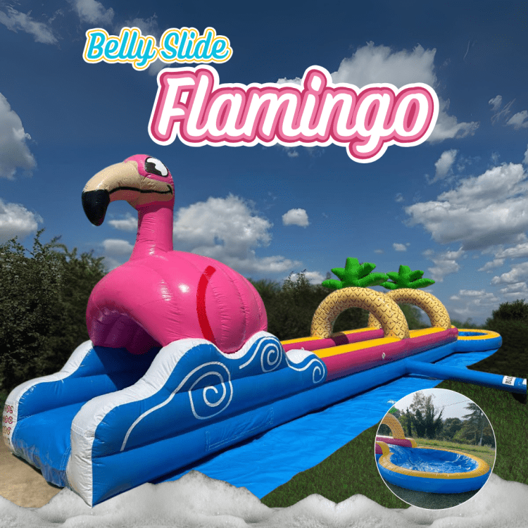 Flamingo Belly Slip & Slide - R125.10