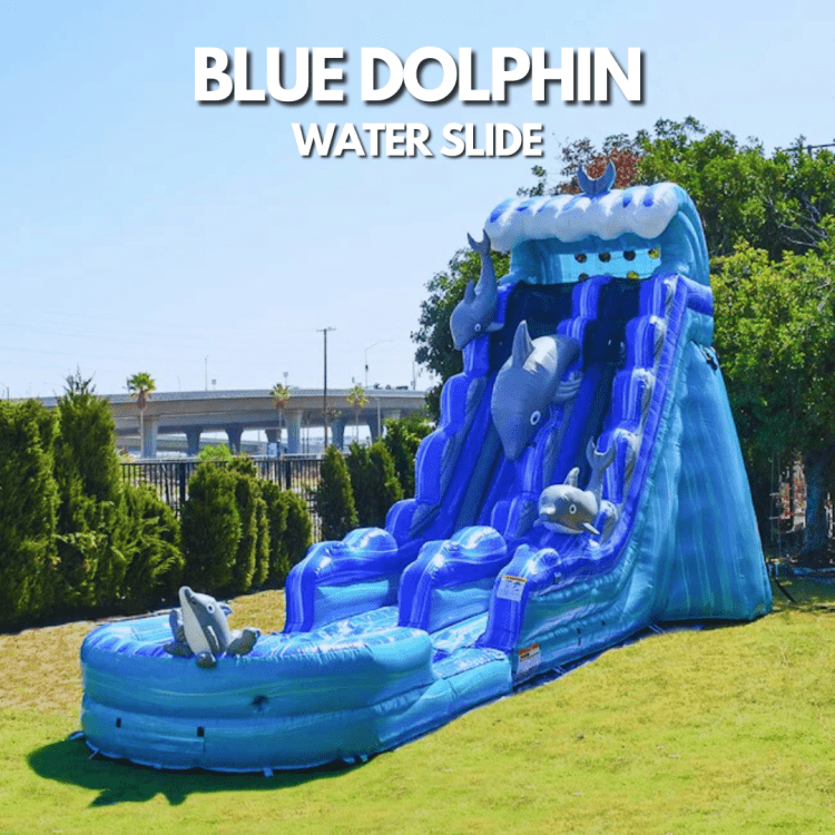 22ft Blue Dolphin Slide - R219.20
