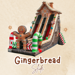 Gingerbread Playhouse Slide*