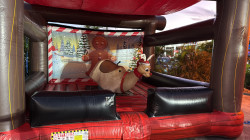 8b536456 cb76 4283 9adb 91cbd0646823 1766423071 Mechanical Reindeer Rental - R19.10