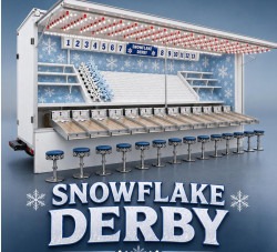 Snow Flake Derby